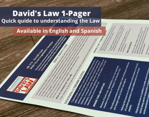David's Law 1-Pager Image